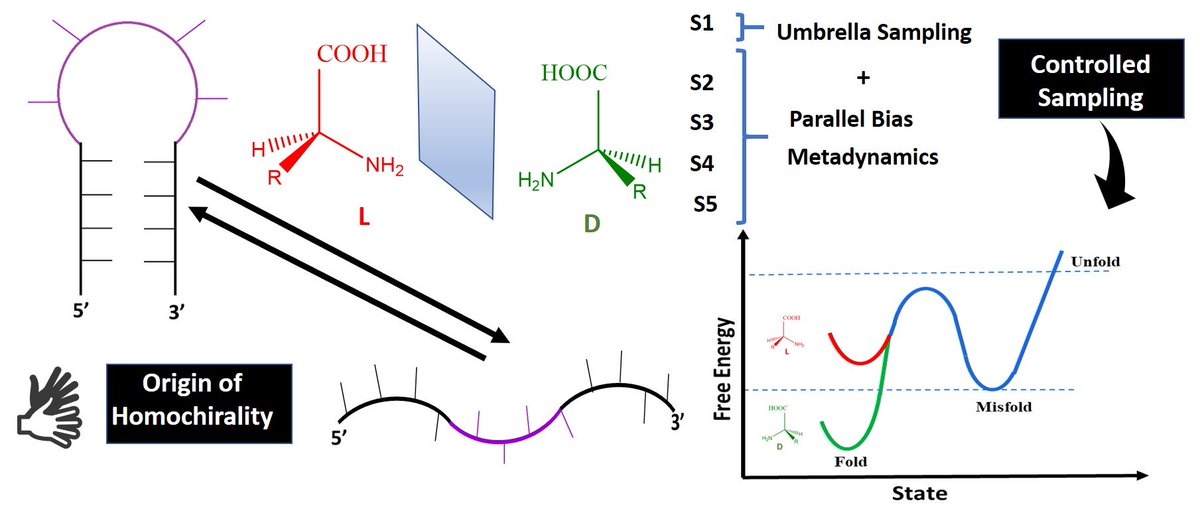 Amal Vijay (@_amalvijay) on Twitter photo Glad to share our work published in <a href="/PCCP/">PCCP</a> supporting the RNA-based hypothesis on the origin of homochirality. We show how the chirality of arginine induces RNA hairpin dynamics by combining umbrella sampling & PBMetaD simulations.
doi.org/10.1039/D3CP00…
<a href="/ArnabPune/">Arnab Mukherjee</a> <a href="/IISERPune/">IISER Pune</a> Glad to share our work published in <a href="/PCCP/">PCCP</a> supporting the RNA-based hypothesis on the origin of homochirality. We show how the chirality of arginine induces RNA hairpin dynamics by combining umbrella sampling & PBMetaD simulations.
doi.org/10.1039/D3CP00…
<a href="/ArnabPune/">Arnab Mukherjee</a> <a href="/IISERPune/">IISER Pune</a>