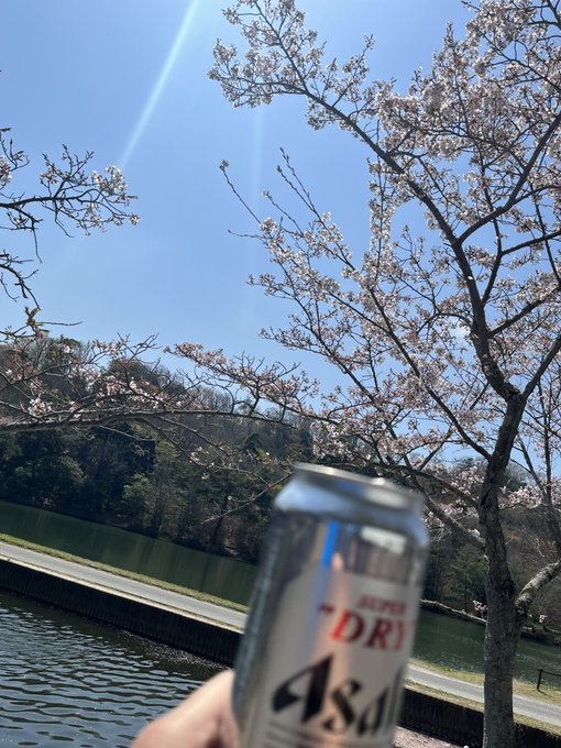 やってます 