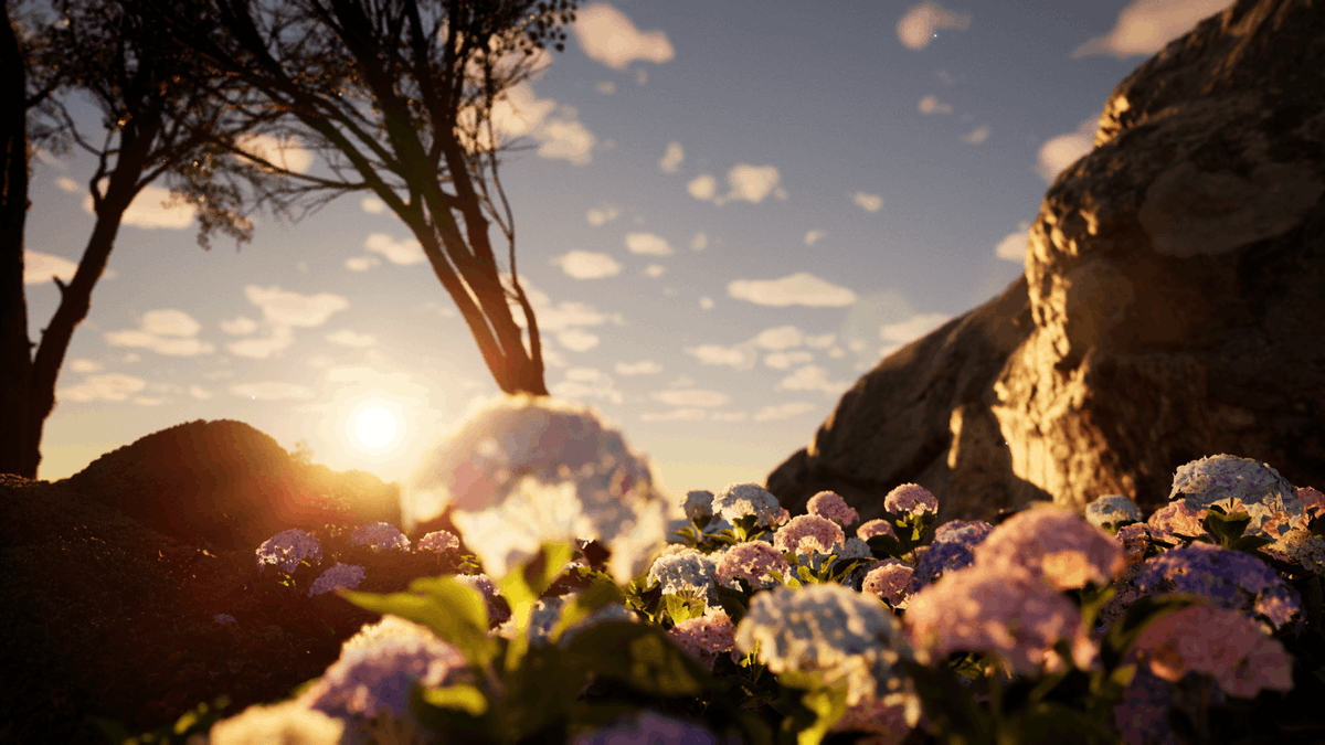 CLUB_MIRAG3's tweet photo. What secrets does THE FOR3ST hold? 🌳

Follow @CLUB_MIRAG3 and turn notifications 🔔 on to be the first to know. https://t.co/fuUmYsCFwN