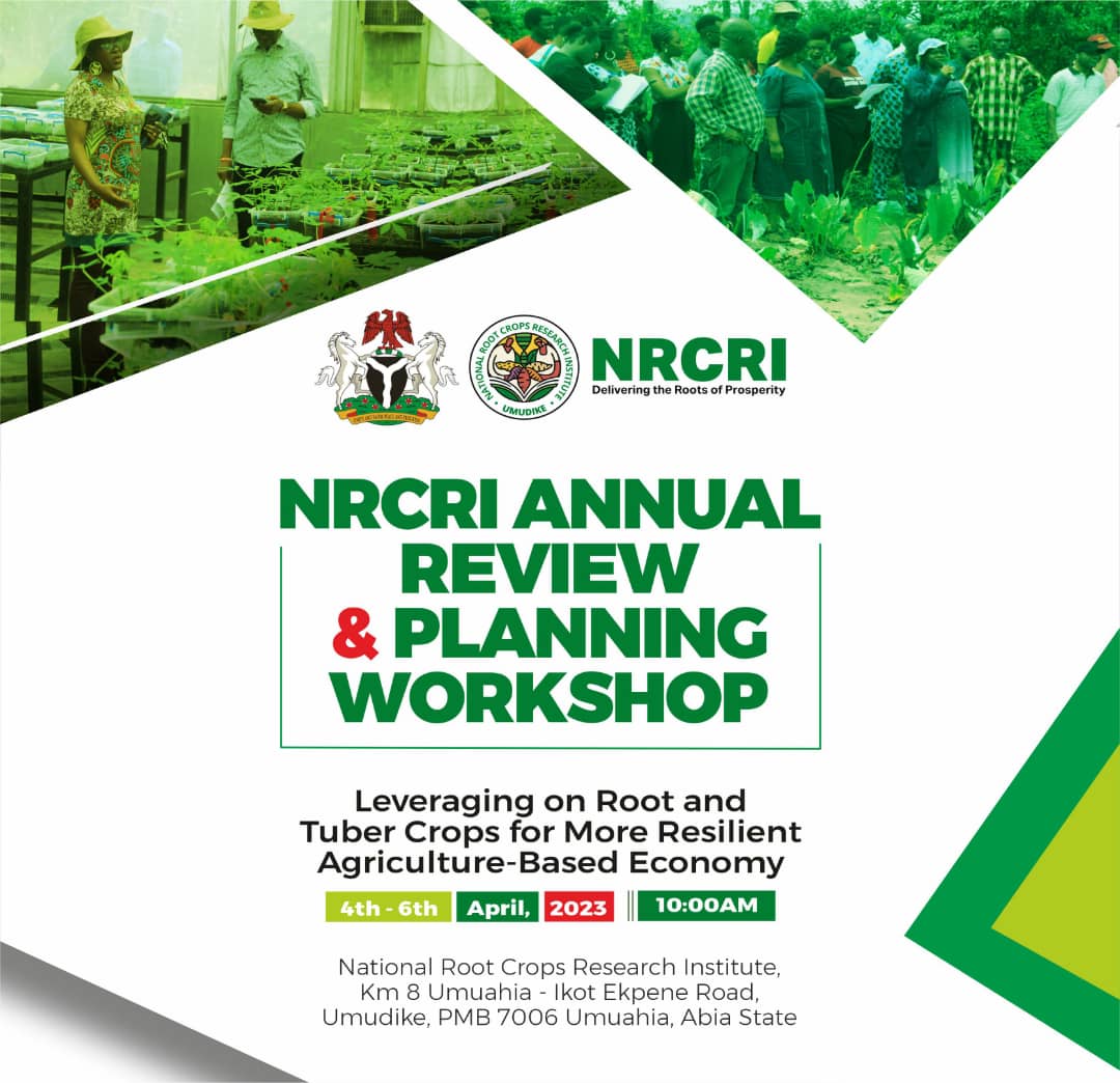NRCRI UMUDIKE (@nrcri_umudike) on Twitter photo The Management and Staff of National Root Crops Research Institute (NRCRI), Umudike invites you to a 2 day Annual Research Review and Planning Workshop.
Theme: Leveraging on Root And Tuber Crops for More Resilient Agriculture-based Economy.
#NRCRIAnnualReview2023
<a href="/FmardNg/">Fed Min of Agric & Food Security</a> The Management and Staff of National Root Crops Research Institute (NRCRI), Umudike invites you to a 2 day Annual Research Review and Planning Workshop.
Theme: Leveraging on Root And Tuber Crops for More Resilient Agriculture-based Economy.
#NRCRIAnnualReview2023
<a href="/FmardNg/">Fed Min of Agric & Food Security</a>