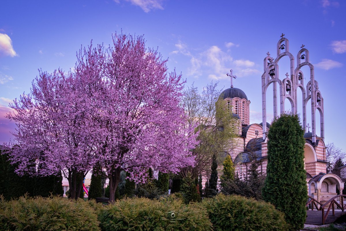alex_lepoyer's tweet photo. Somehow there is so much negativity once we talk about #NorthKosovo
Many believe it's last dark hole of Europe but at least I am trying to display its beautiful side. 
This one is from my hometown of #Leposavić
The only thing people here want is to live normal lives! https://t.co/pfuhITAXPA