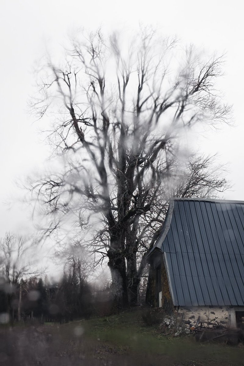 Jour de pluie
It's training
..
#cantal #barn #trees #photographie #photography #auvergne #campagne #rain #pluie #hiver #winter #fsprintmonday #FSprintmonday #fineartphotography #grange
