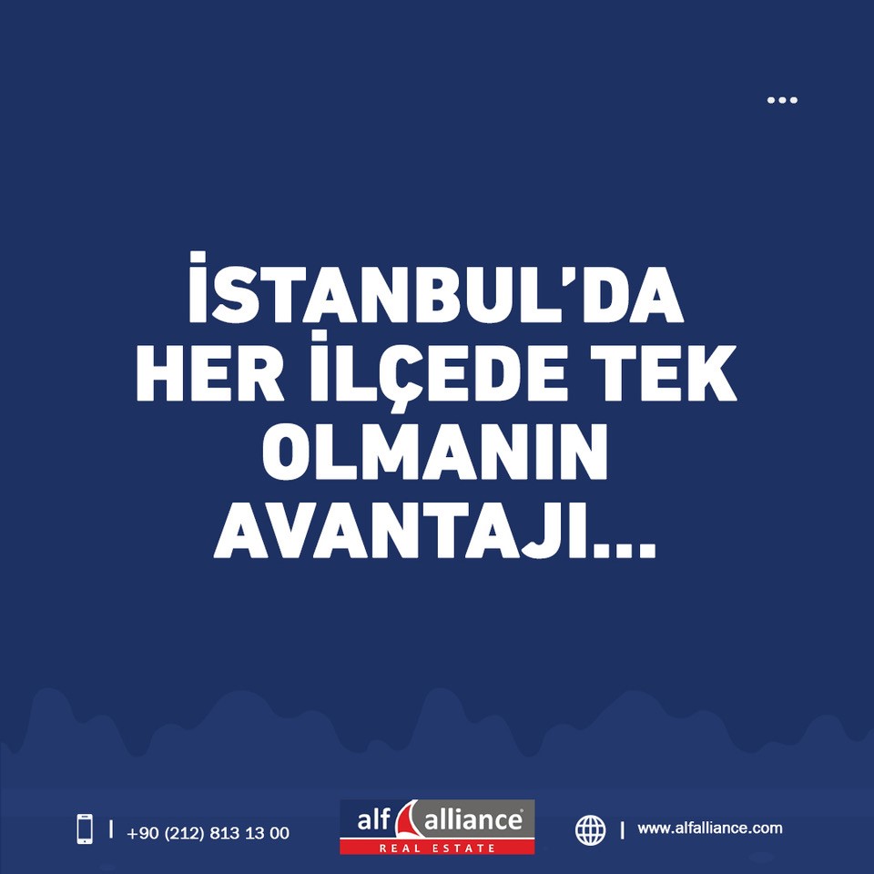 Alf Alliance Türkiye tweet media