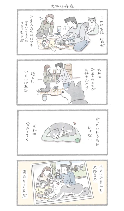 大切な存在
#こんにちはいぬです 