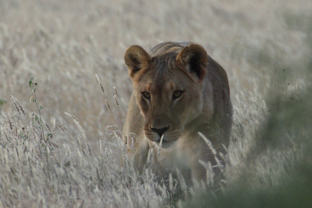 Douglas Branch tweet media