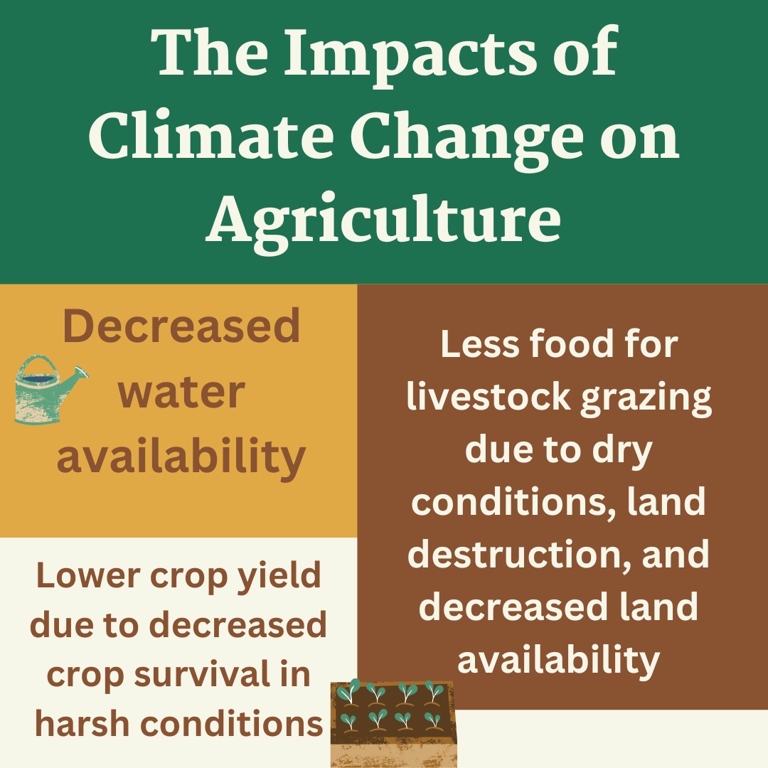 #climatechange is reducing crop yields, the nutritional quality of major cereals, and lowering livestock productivity. #ClimateJustice #DreamvilleFest #climatesolutions #Succession #ClimateAction
