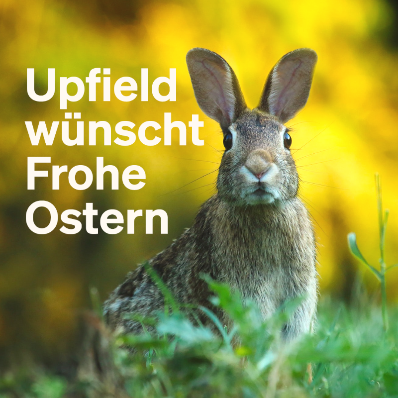 FloraFG_dachit's tweet photo. Frohe #Ostern an all unsere Mitarbeitenden, Partner und Kund:innen! 🐣🌷 ​

Wir hoffen ihr genießt die #Feiertage mit leckerem Essen und vielen schönen Momenten mit euren Lieben. Wir sind dankbar für die Zusammenarbeit und das Vertrauen, das ihr uns entgegenbringt. https://t.co/XmcKsqSemT
