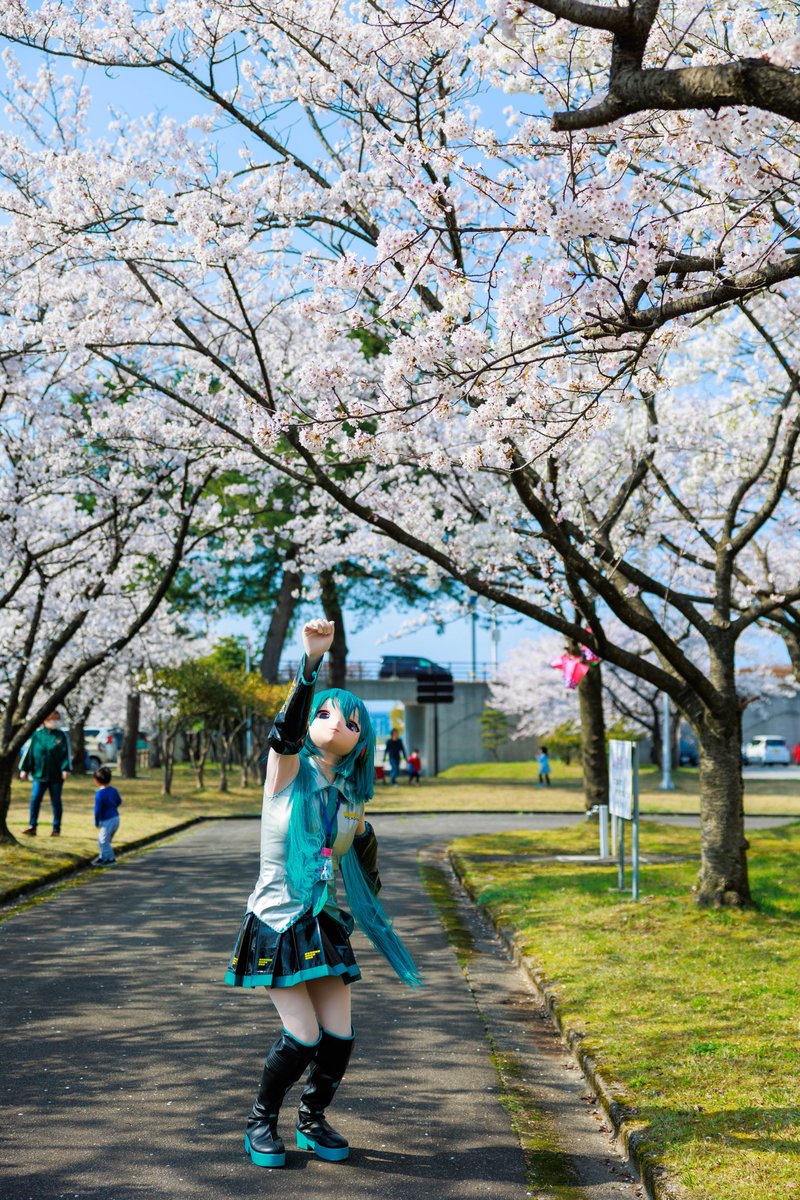 kig_rimoru's tweet image. ミクさんぴょーん！
届かない(&amp;gt;_&amp;lt;)
 #こすみら