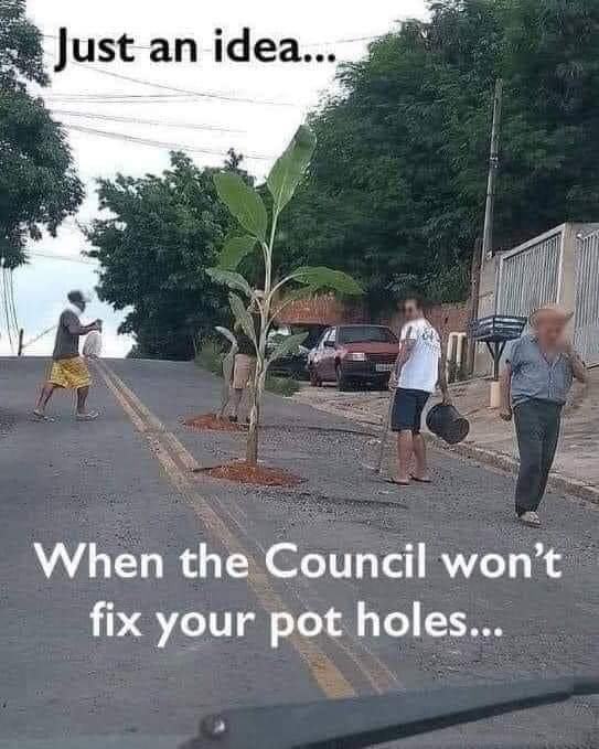 This should be done in india !!!
#PotholesFreeroads #growmoretrees @rupamurthy1