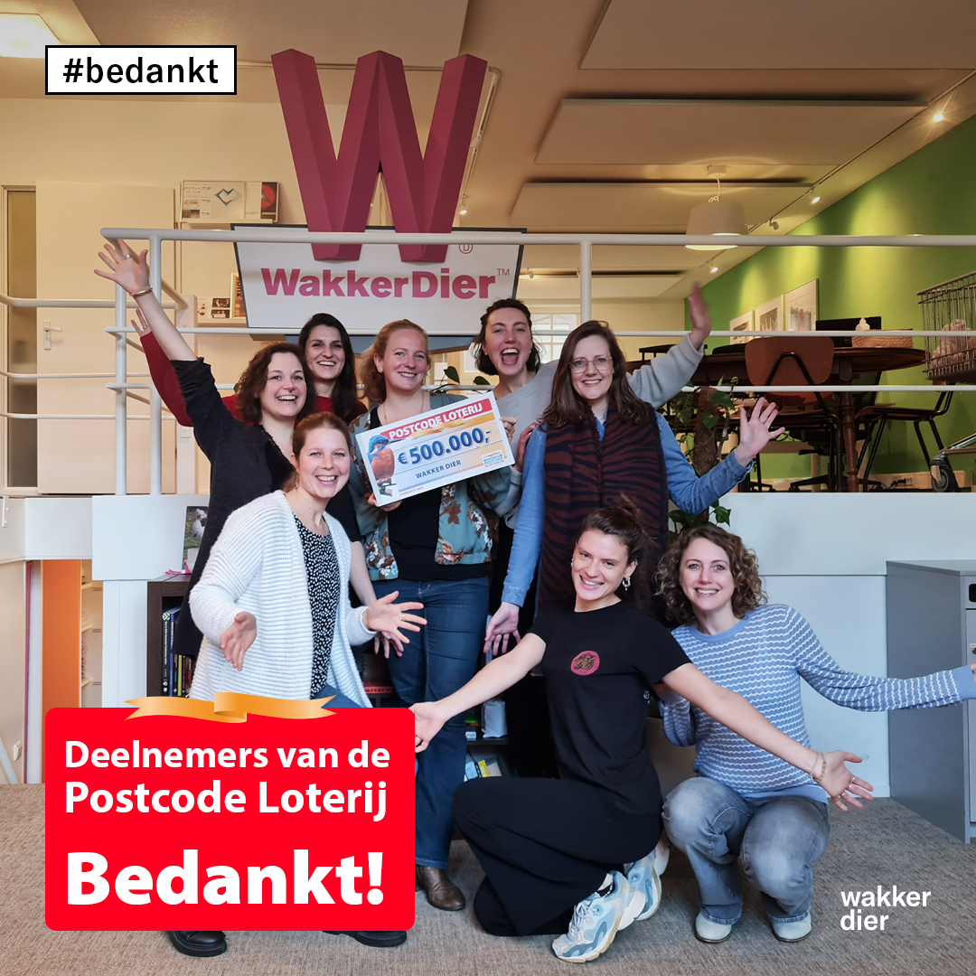 Hoera! Wat een geweldige bijdrage ontvingen wij weer. <a href="/PostcodeLoterij/">Postcode Loterij</a> en alle deelnemers, ontzettend bedankt! Samen geven we de dieren een beter leven!
#postcodeloterij #wakkerdier #dierenwelzijn