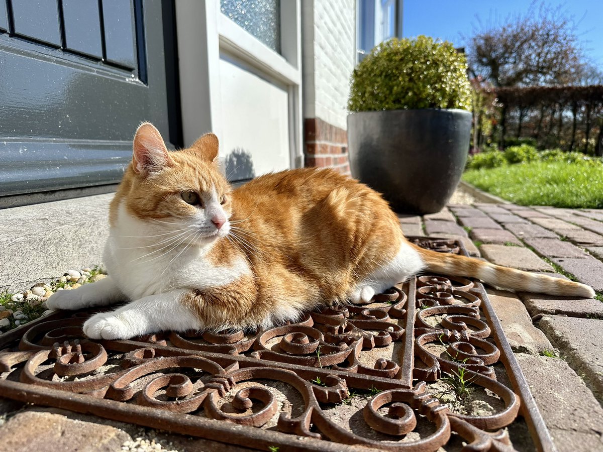 erica_v_leeuwen's tweet photo. Zonnig #Zeeland☀️🐈🧺✅🚣🏻‍♂️
@weermanrobert @Alpenweerman  @Talpaweer @omroepzeeland @EdAldus @BuienRadarNL @provzeeland @helgavanleur @Goesisgoes @weerenradar_nl @ricoschroder  @weeronline @GemeenteGoes @WNLVandaag  @SevereWeather_N #lente @GRVscaldis https://t.co/K27ESemLTZ