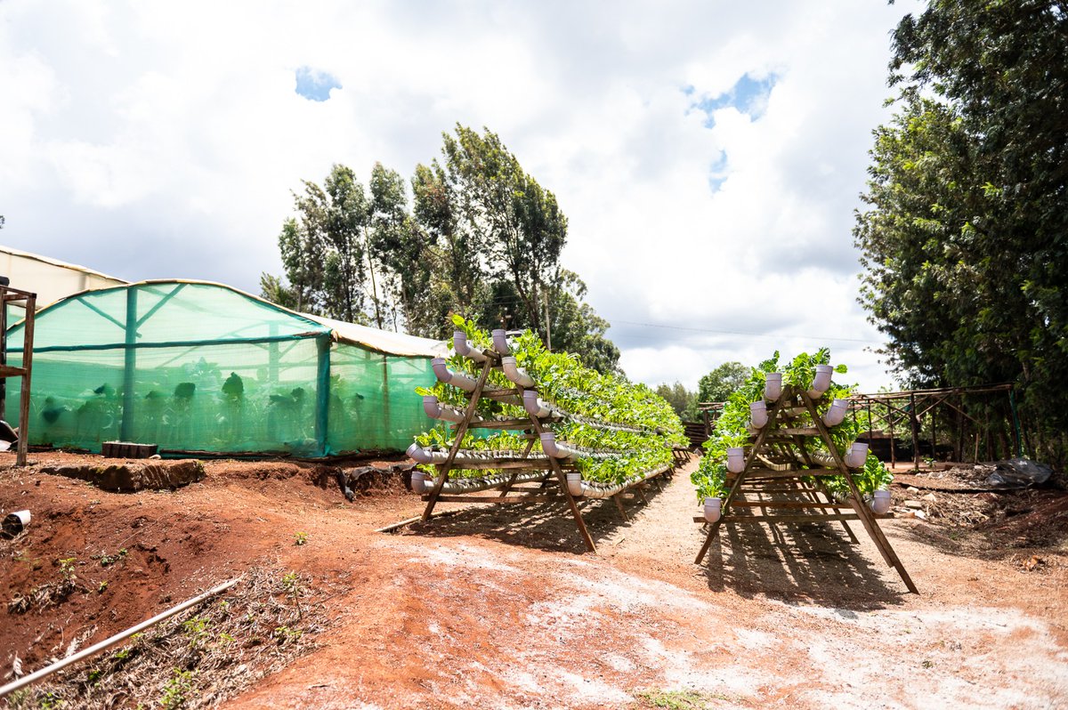 Practitioners_'s tweet photo. On the last day of our #PNVisitKenya ,we visited
💧⚡️🍲Water and Energy for Food (WE4F): an 🌐international #joininitiative of the @BMZ_Bund @EU_Commission @DutchMFA @Sida @noradno and @USAID
👉 @WE4FGCD
#WorkingBetterTogether https://t.co/Em5JEMNzNc