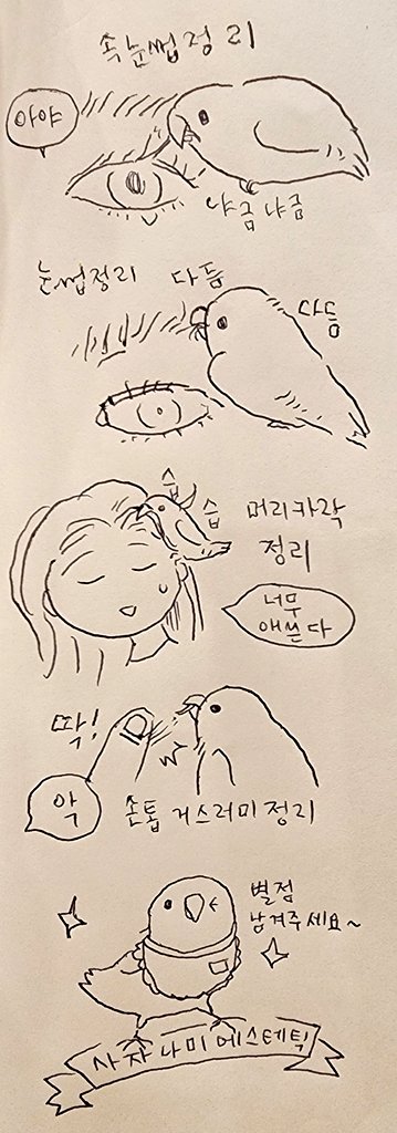 사자나미 에스테틱 