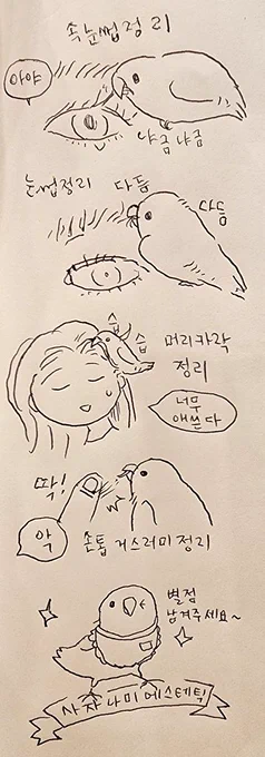 사자나미 에스테틱 