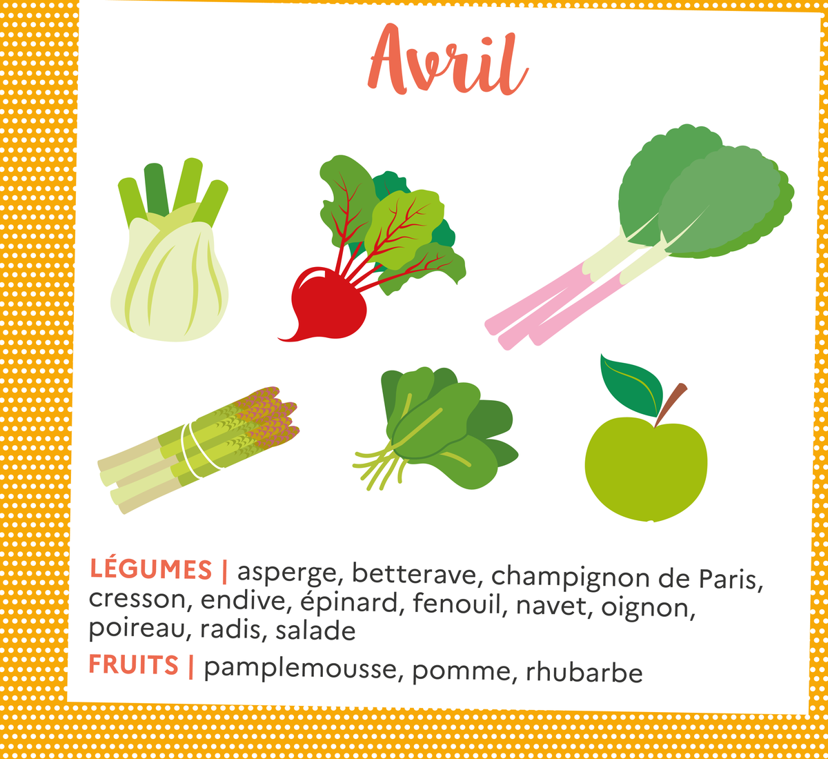 ademe_IDF's tweet image. Pour réduire l&apos;empreinte carbone de votre alimentation, consommez de saison ! 

Qu&apos;est-ce qu&apos;on mange au mois d&apos;avril ? Asperge, betterave, épinard, poireau, radis, pamplemousse, pomme 🍏🥬

Calendrier des fruits et légumes de saison : bit.ly/40I38E5 📅 #ConsoResponsable