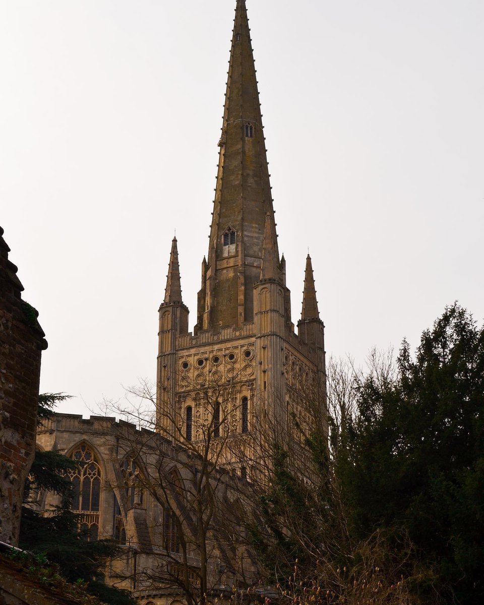 The Norwich Consort of Voices tweet media