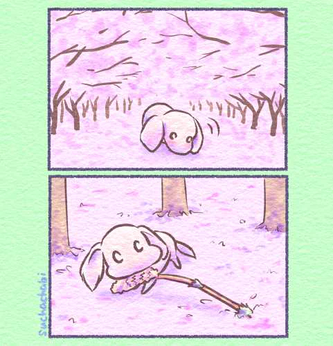 1072日目 春を拾ってくる犬 