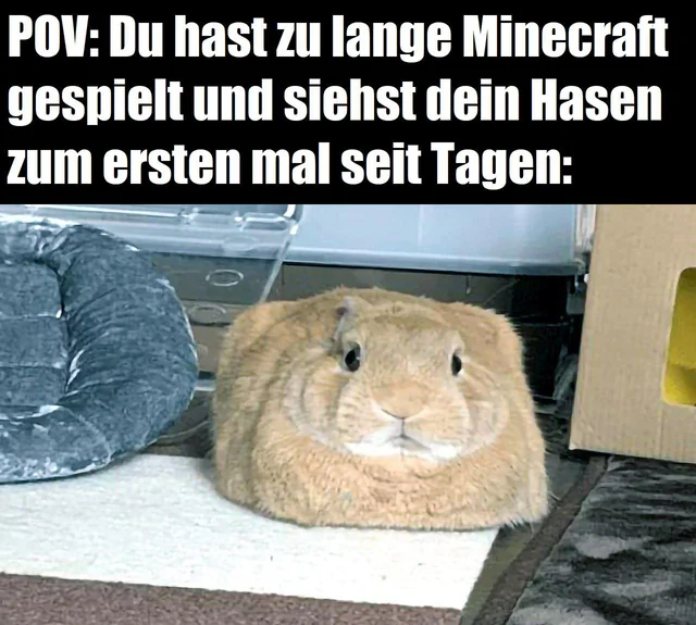 HalleFurs's tweet photo. Heute ist mal wieder #MemeMonday, also hier wieder die besten #Memes von unserem #Subreddit. https://t.co/UfMygqHitZ