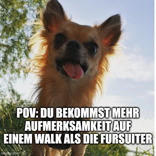 HalleFurs's tweet photo. Heute ist mal wieder #MemeMonday, also hier wieder die besten #Memes von unserem #Subreddit. https://t.co/UfMygqHitZ