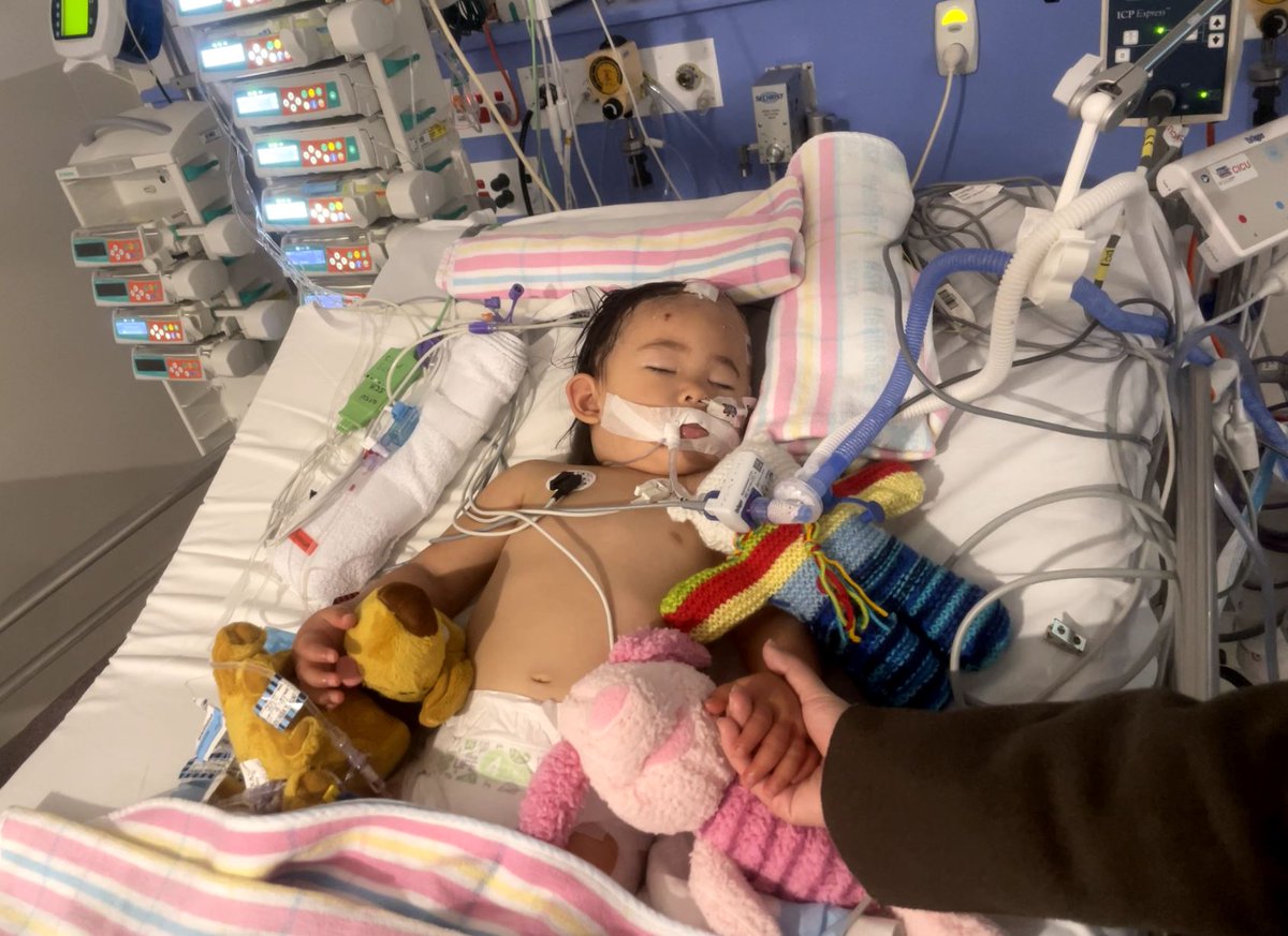 Little Elena Lu was just 2 years old when a devastating stroke changed her life. She has shown great resilience and determination in her recovery and has been nominated for a 2023 Stroke Foundation Stroke Award. Read more about Elena’s inspirational story: strokefoundation.org.au/media-centre/m…