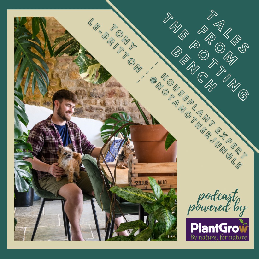 vftpottingbench's tweet photo. ❓Do you have a favourite houseplant?? 🤔❓
‼️ I’m asking this because on this week’s episode I’m joined by houseplant expert Tony Le-Britton
👉🏻 Listen now: https://t.co/BDP0rd4ZBb
#Podcast #TonyLeBritton #NotAnotherJungle #Houseplants https://t.co/mB0UeFM3fv