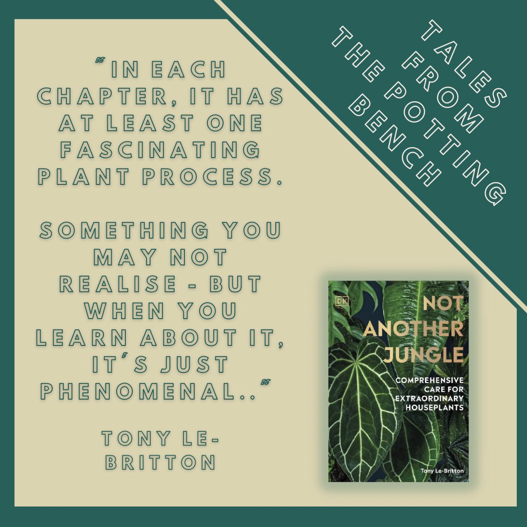 vftpottingbench's tweet photo. ❓Do you have a favourite houseplant?? 🤔❓
‼️ I’m asking this because on this week’s episode I’m joined by houseplant expert Tony Le-Britton
👉🏻 Listen now: https://t.co/BDP0rd4ZBb
#Podcast #TonyLeBritton #NotAnotherJungle #Houseplants https://t.co/mB0UeFM3fv
