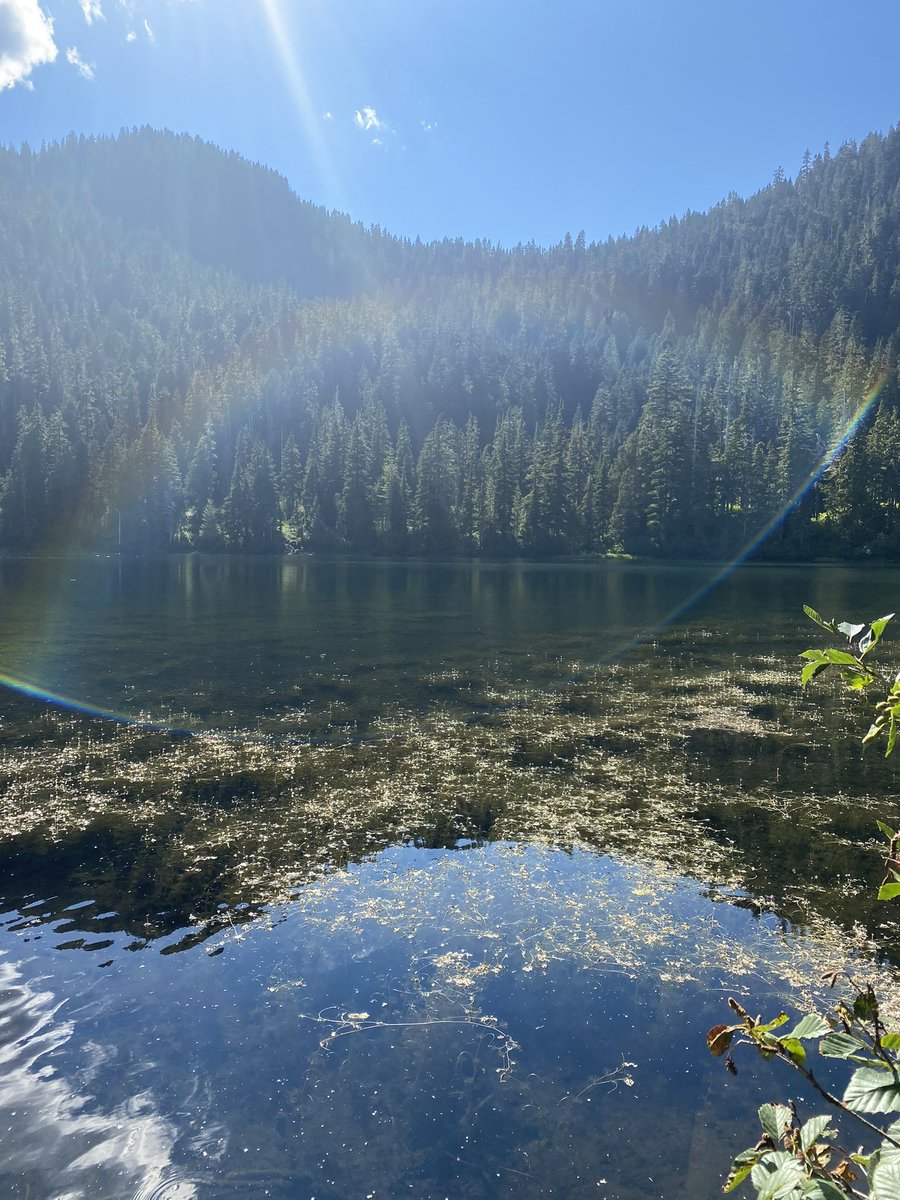 loo_tttt's tweet photo. On aurait pu avoir une plus jolie vue un lundi matin … mais on a les photos #washingtonstate #OlympicNationalPark #threelakestrail https://t.co/2zLuntxCwv