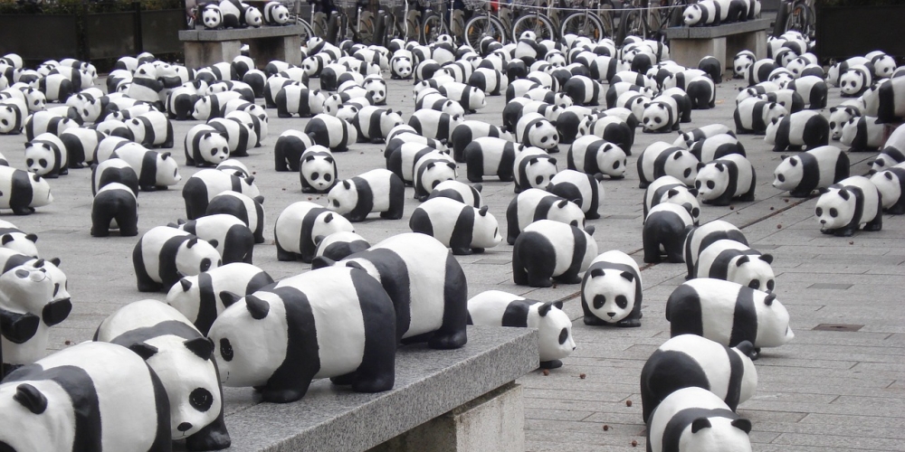 #pandas #miniature #exhibition Incredible! buybybye.eu