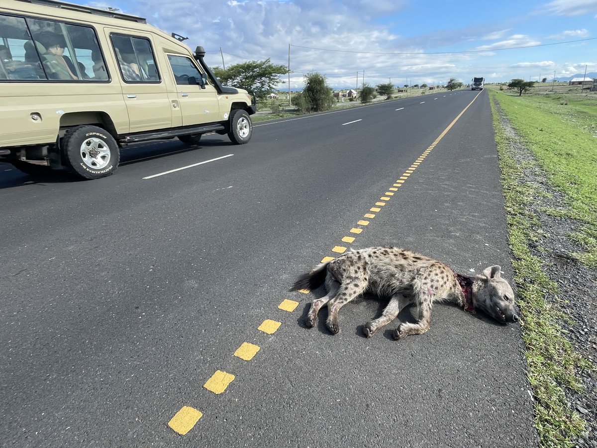 Rob Marchant tweet media