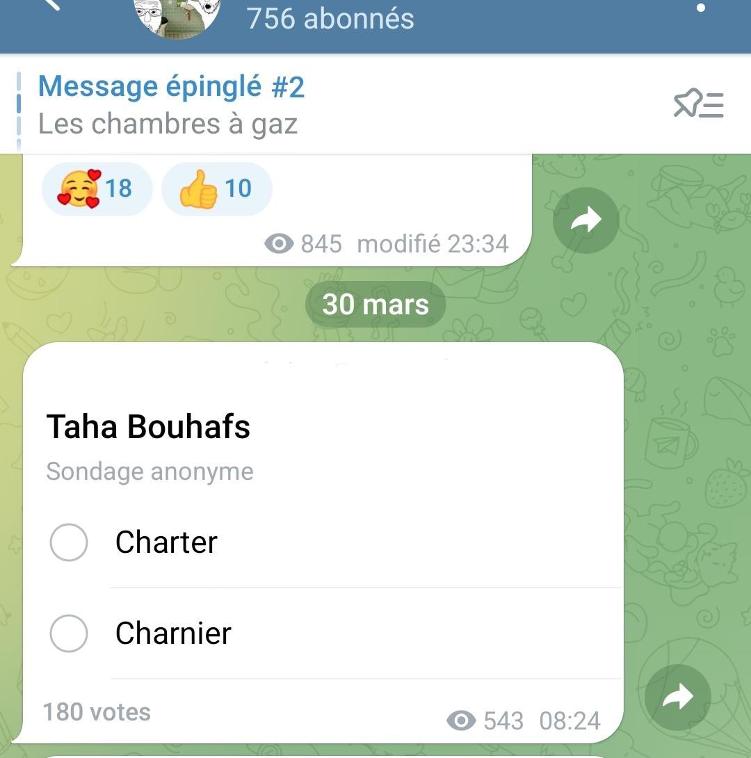 T_Bouhafs's tweet photo. Les menaces sont très claires. 
Ces groupes neo-nazis appellent à des attentats ciblés contre nous. 

Vu le nombre de malades armés qui sont dans leurs rangs, la menace est réelle.

Cela fait des années que nous sommes menacés nommément par ces groupes. Que font les autorités ? https://t.co/mui7SudYd9