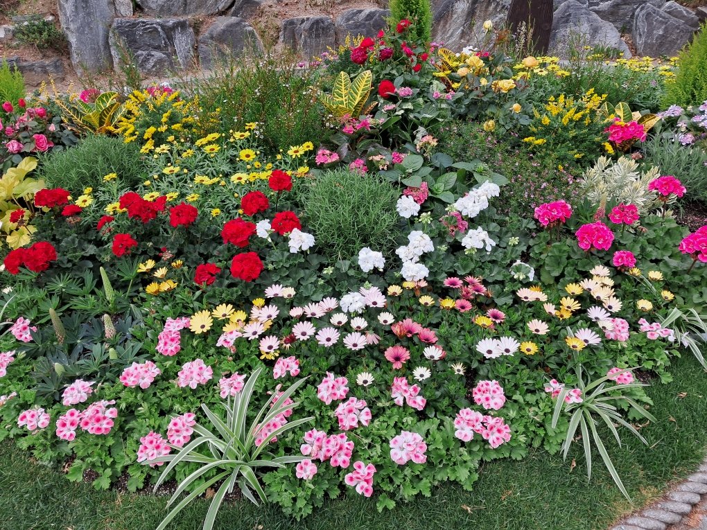 A street garden, not a secret garden 🍀 ⓒ 2023 StrawberryMilk