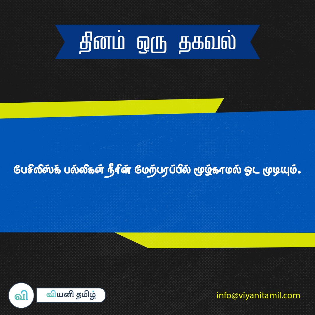 இன்றைய தினம் ஒரு தகவல்..
info@viyanitamil.com
#lizard #reptile #reptiles #reptilesofinstagram #lizardsofinstagram #lizards #gecko #reptilelover #beardeddragon #nature #animals #pet #petsofinstagram #pets #geckosofinstagram #exoticpets #reptilekeeper #geckos #wildlife #animal