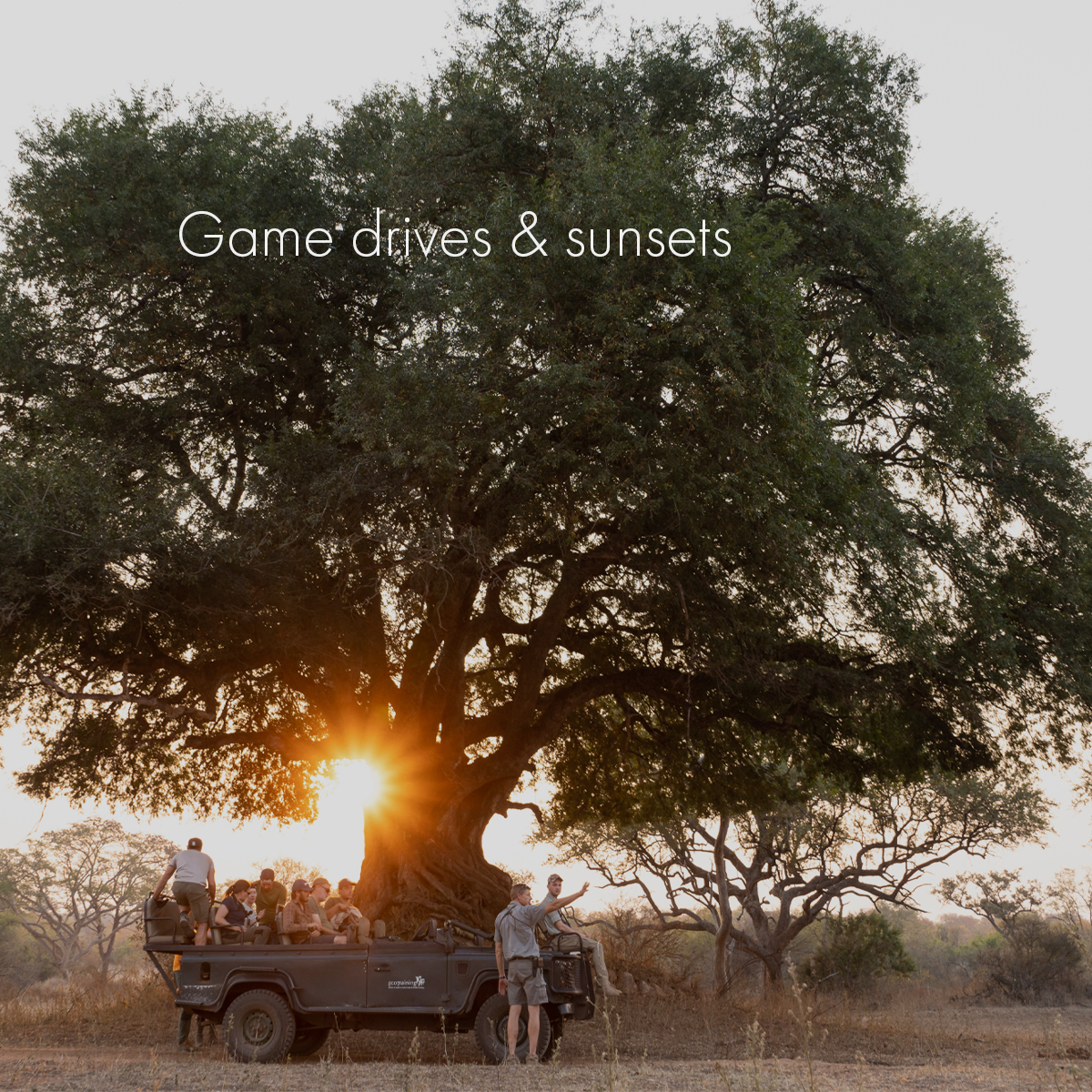 EcoTraining's tweet image. ATTENTION all nature lovers!

Are you ready to embark on the adventure of a lifetime and become a certified field guide? Look no further than EcoTraining's #FGASA Field Guide ONE course!

📅 Course date: 4 July – 27 August 2023

Visit ow.ly/PZc750NwS7h for more information.