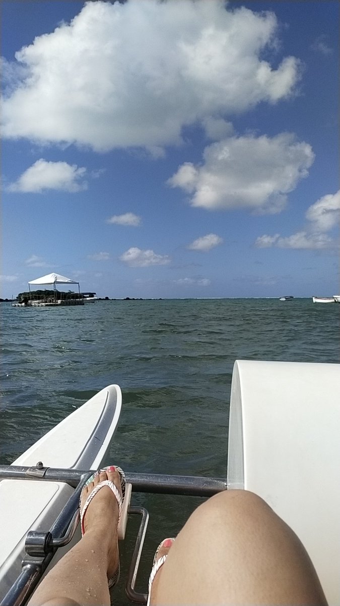 KaurRomia's tweet image. First one is from #gurdwara sahib and the rest of from #Mauritius 😶‍🌫️ #azuri #ileauxcerfs