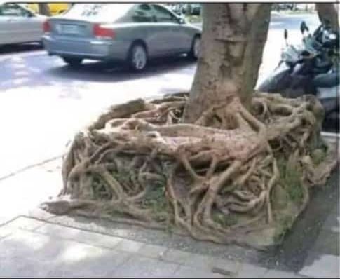 Finally found the square root 😐😂💔