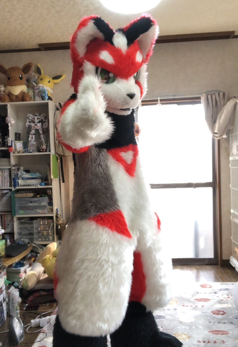 白ルカ tweet media