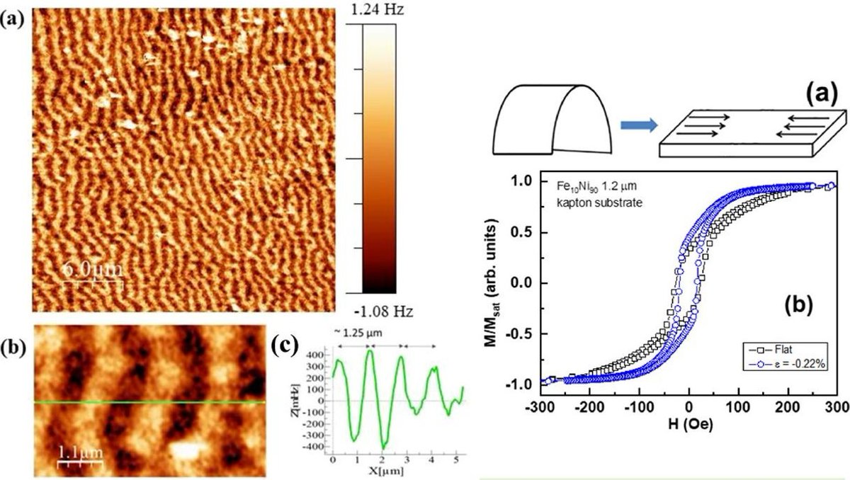 budgetsensors's tweet photo. Investigation of stripe domains formation in electrodeposited magnetoelastic Ni90Fe10 thin films with BudgetSensors MagneticMulti75 AFM probes.
https://t.co/4WjhWiYZye
#AFMProbes #AtomicForceMicroscopy #MagneticForceMicroscopy https://t.co/gQDy8116EU