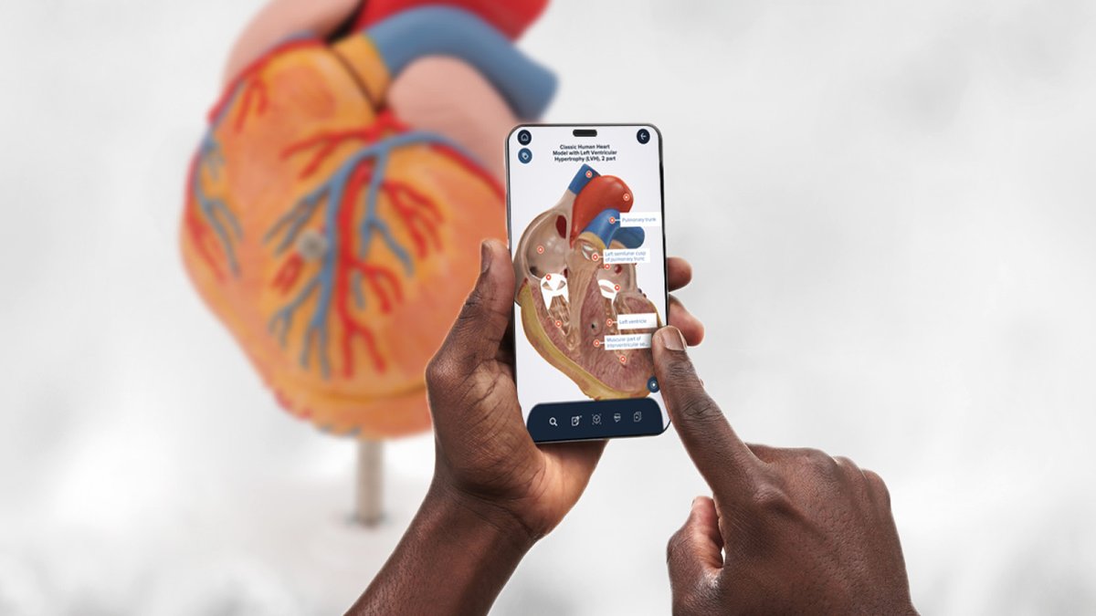 3bscientific's tweet photo. [#AnatomyApp] Tap Into the World of 3B Smart Anatomy - Every #3BScientific #anatomy model now comes with the new #3BSmartAnatomy app: Packed with features like #AR models, annotations, quizzes &amp; much more. Get it here: https://t.co/WQGsJTAIJY

#AppUpdates @iSimulate @Cardionics https://t.co/7geNdqHxha