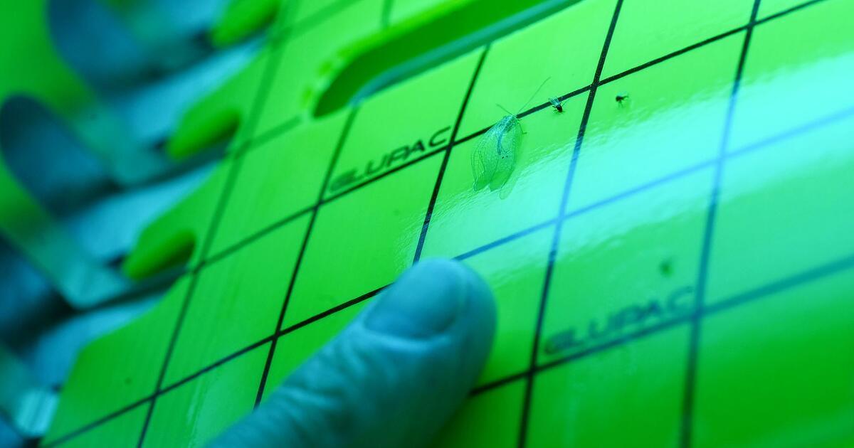 ka-news.de tweet media