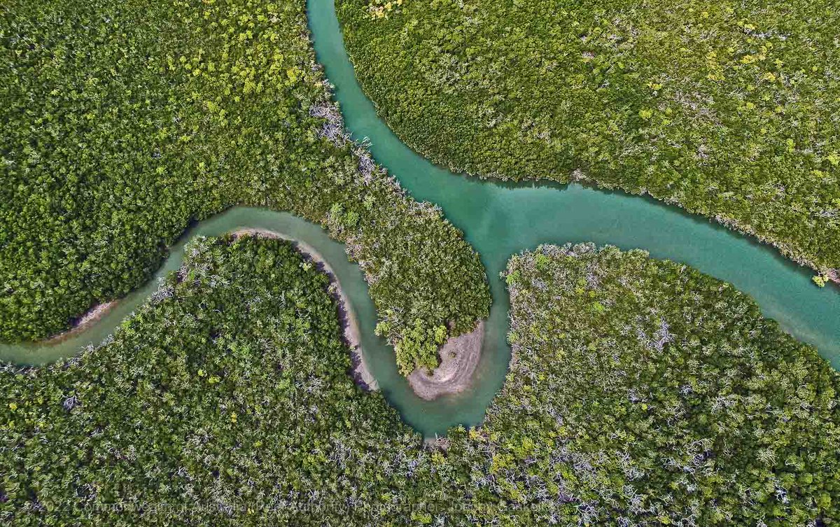 gbrmarinepark's tweet photo. Our latest inshore water quality report which better understands the condition, trends and effects of water quality on the @gbrmarinepark is now available: https://t.co/wObvFfI8TE. Our partners: @aims_gov_au @jcu @TropWATER CPWP
#PoweredbyRIMReP #Reefscience 📷 © J. Gaskell. https://t.co/sLH9CnqpHM