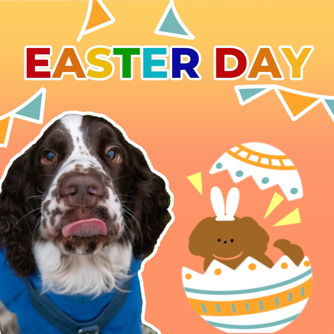 FUNNYFUZZY tweet media