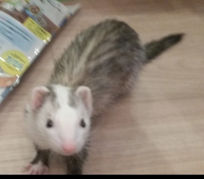 かてぃー@会社員わーママ tweet media