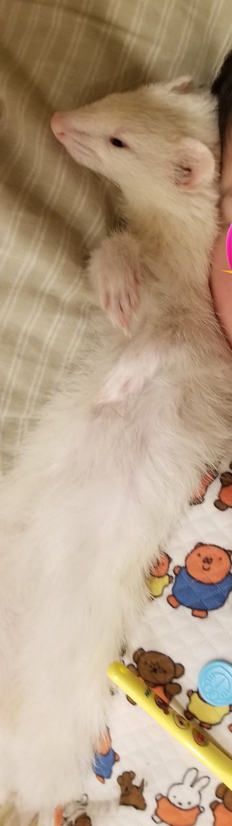 かてぃー@会社員わーママ tweet media