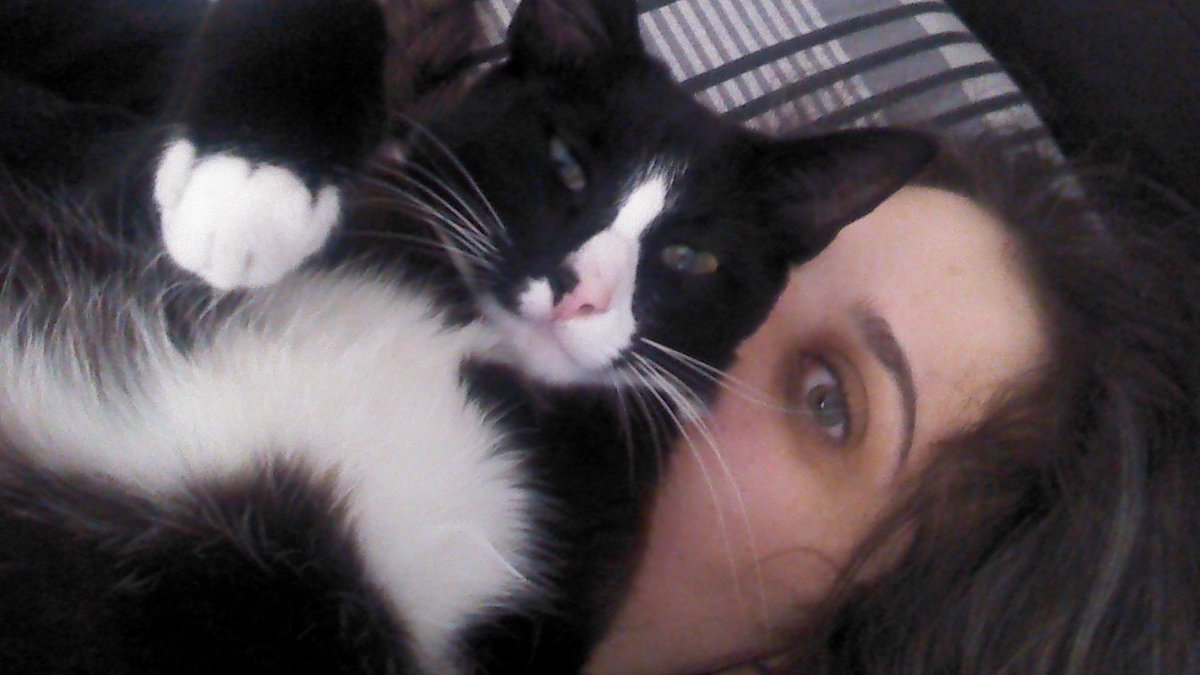 Spinster's Library tweet media