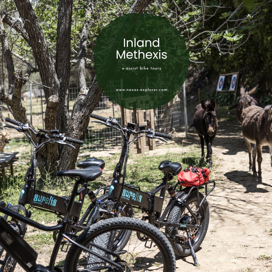 Come and enjoy an e-assist bike tour into the ancient word, #Methexis 🚲

Book your bike tour now 👉 tinyurl.com/4u59skby

#DiscoverNaxos #NaxosExplorer #Naxos #Greece #villages #biketours