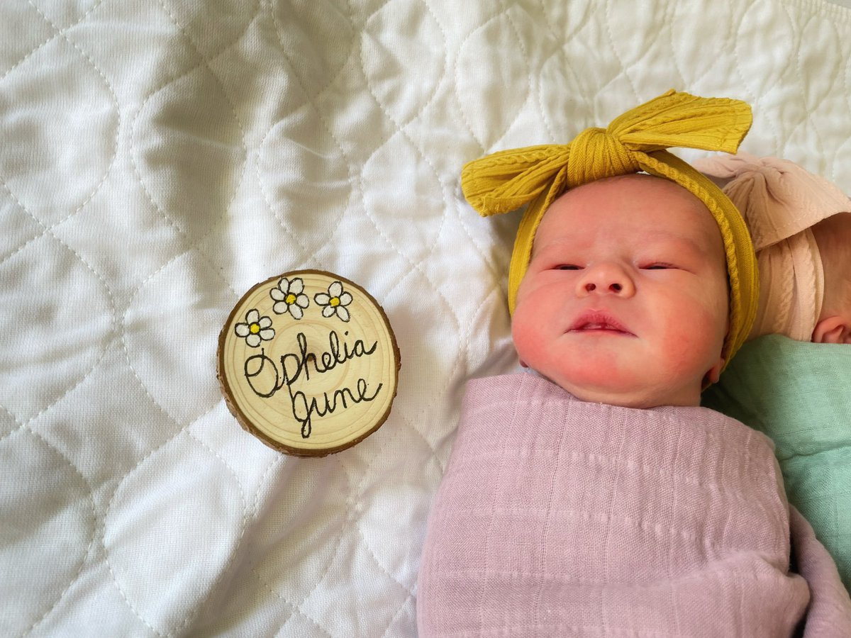 Erica Nulik tweet media