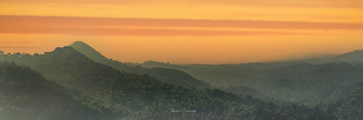 Slow down & enjoy the view!

#coorg #panorama #panoramicview #goldenhour #landscape #photography #NikonZ9