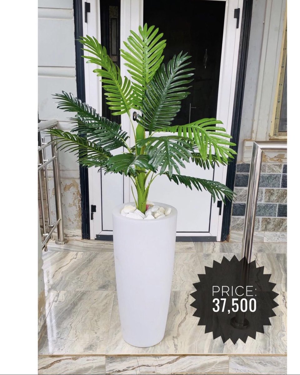 DesignArena_'s tweet photo. Beautiful your space with these gorgeous planters &amp; artificial trees.

The prices are stated on each slide.

#explore
#ballpot
#fiberpots
#lekkiwives
#lagoshomes
#explorepage
#lagosinteriors
#homedecoration
#homedecornigeria
#lagosinteriordesigners https://t.co/lrbu6O91TY