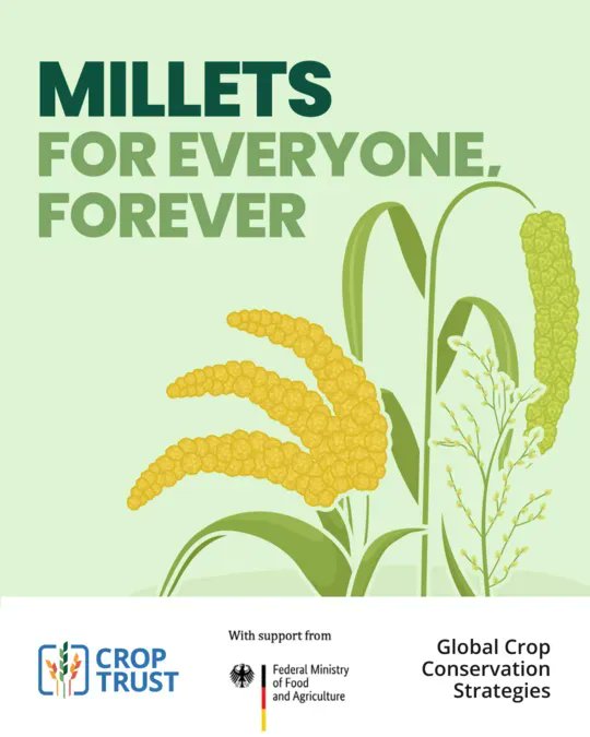 The Crop Trust tweet media