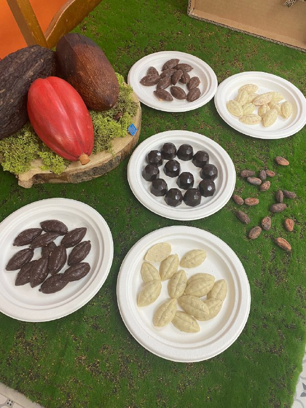 framaluz's tweet photo. Hemos estado de visita con Catadonna en @Maychoco_  para ver cómo elaboran chocolates desde el tueste del haba de cacao hasta el producto final en su taller artesano https://t.co/ffxPx9Zv86